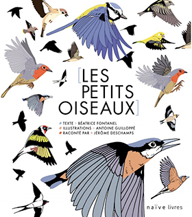 les_oiseaux_petits_oiseaux_naive_livres_Fontanel