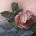 rose-nattierJean-Marc-Nattier-8759561-1