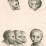 lebrun-lavater-etudes-physiognomoniques-