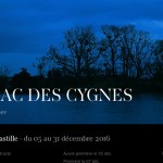 LE LAC DES CYGNES à l’Opéra Bastille