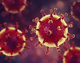 virus-covid-coronavirus-2020