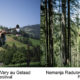 GSTAAD FESTIVAL renaudin radulovic festival menuhin gstaad classiquenews 2024