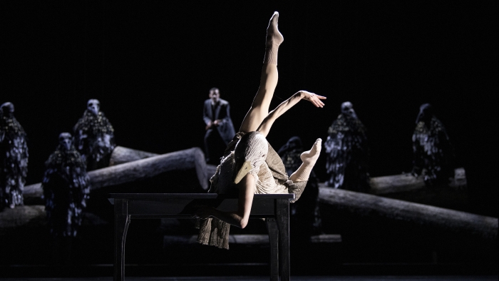 STREAMING, danse. Le Canard Sauvage / Norwegian National Opera & Ballet, Mardi 19 novembre 2024 sur Culturebox et sur france.tv